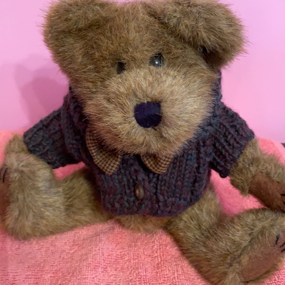 Boyd Bear
